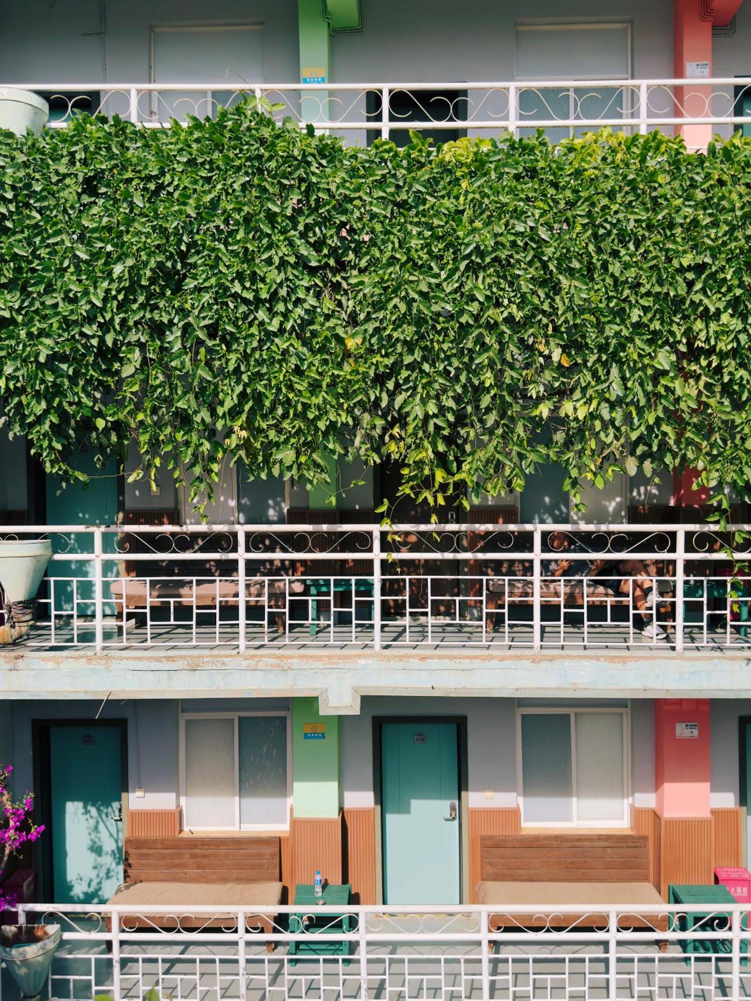 The Cloudland International Youth Hostel Close To The City Center,10 Min Walks To The Subway, Close To The Night Market, Old Street, Green Lake, English-Speaking Service, Free Activity Convenient Payment And Visa Cards Are Accepted Kunming Dış mekan fotoğraf