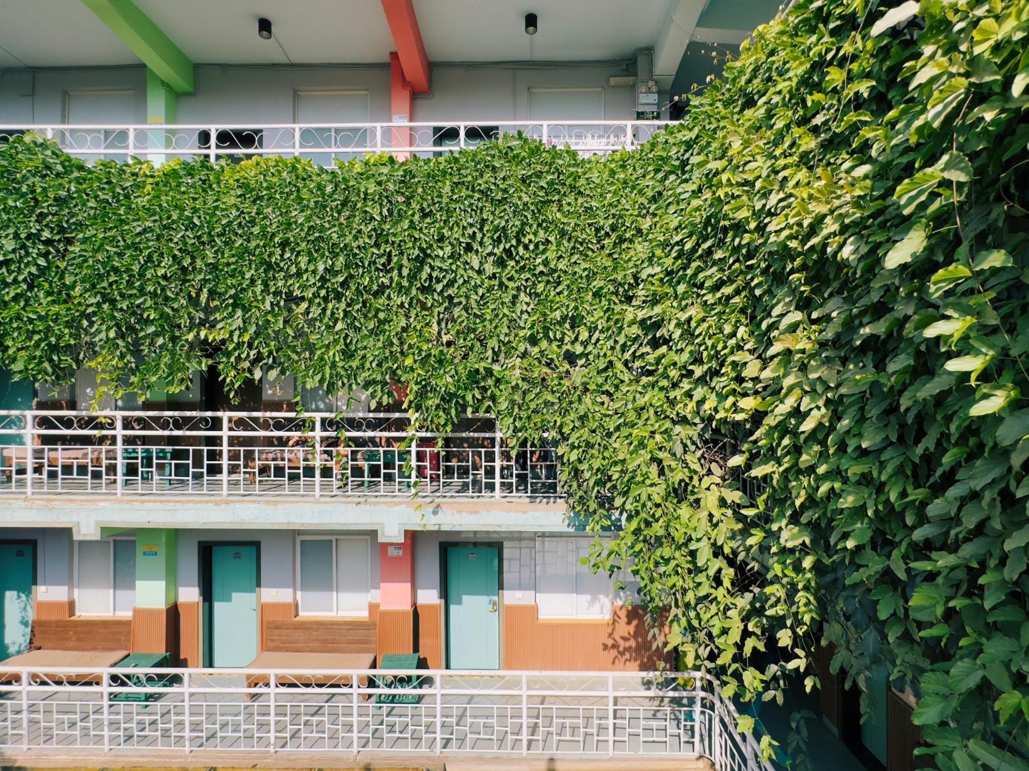 The Cloudland International Youth Hostel Close To The City Center,10 Min Walks To The Subway, Close To The Night Market, Old Street, Green Lake, English-Speaking Service, Free Activity Convenient Payment And Visa Cards Are Accepted Kunming Dış mekan fotoğraf